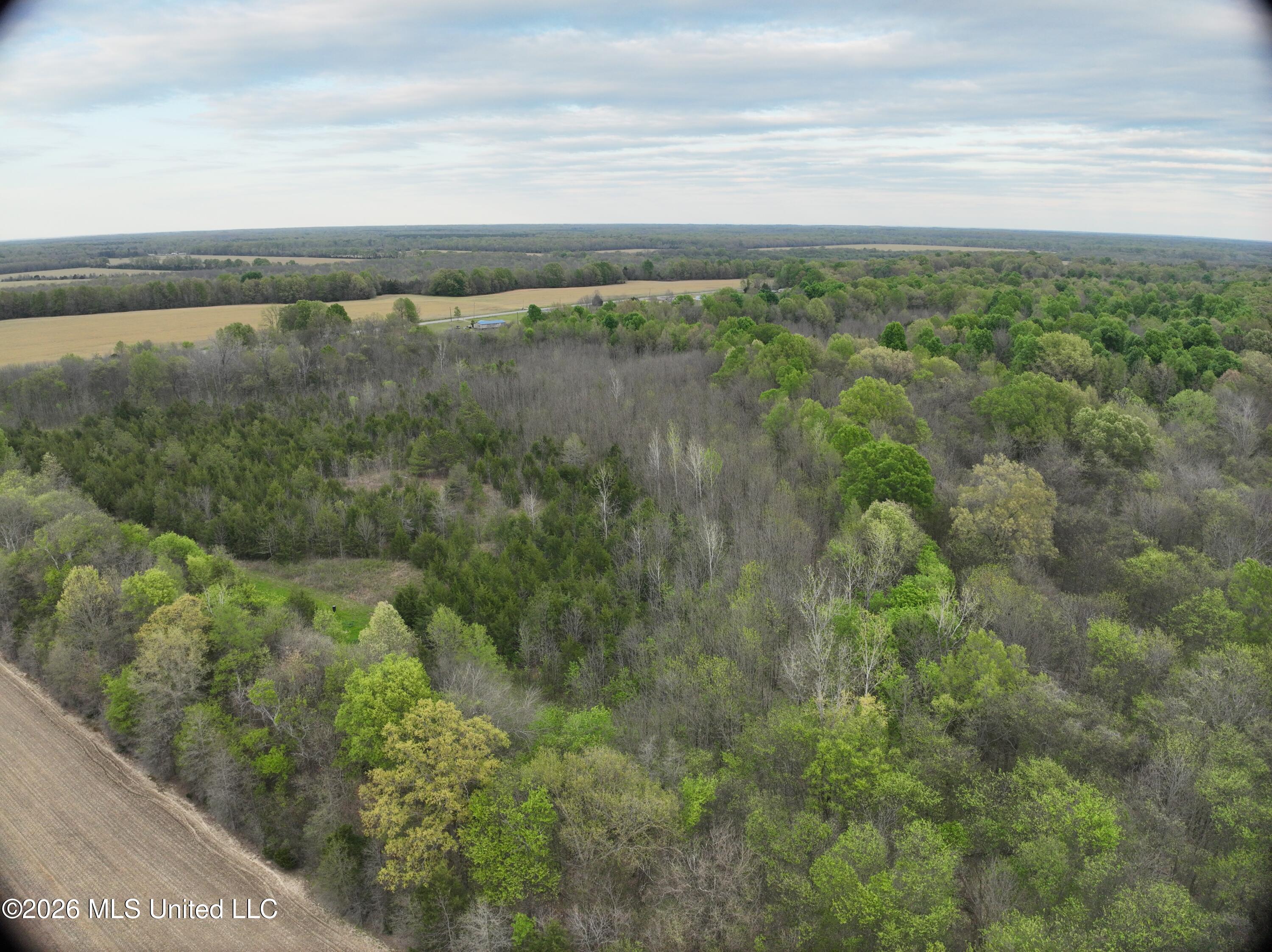 0 White Rock Road Aberdeen, MS 39730 - Photo 7 of 11 mo-ms-472 _7