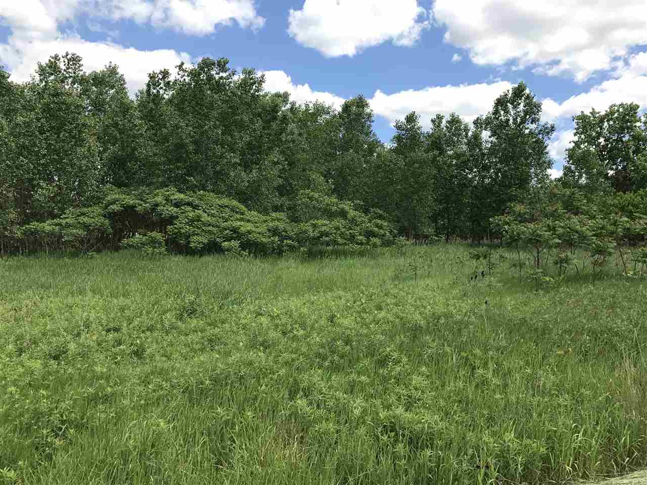 0 Bancroft Road Morrice, MI 48857 - Photo 1 of 3 31321939.JPG