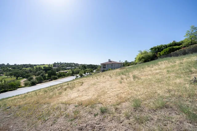 a view of a dry yard with trees in the background
