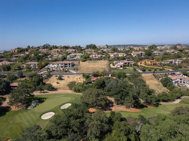 an aerial view of residential houses with outdoor space and trees