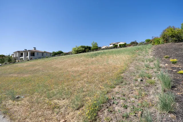 a view of a field with an ocean