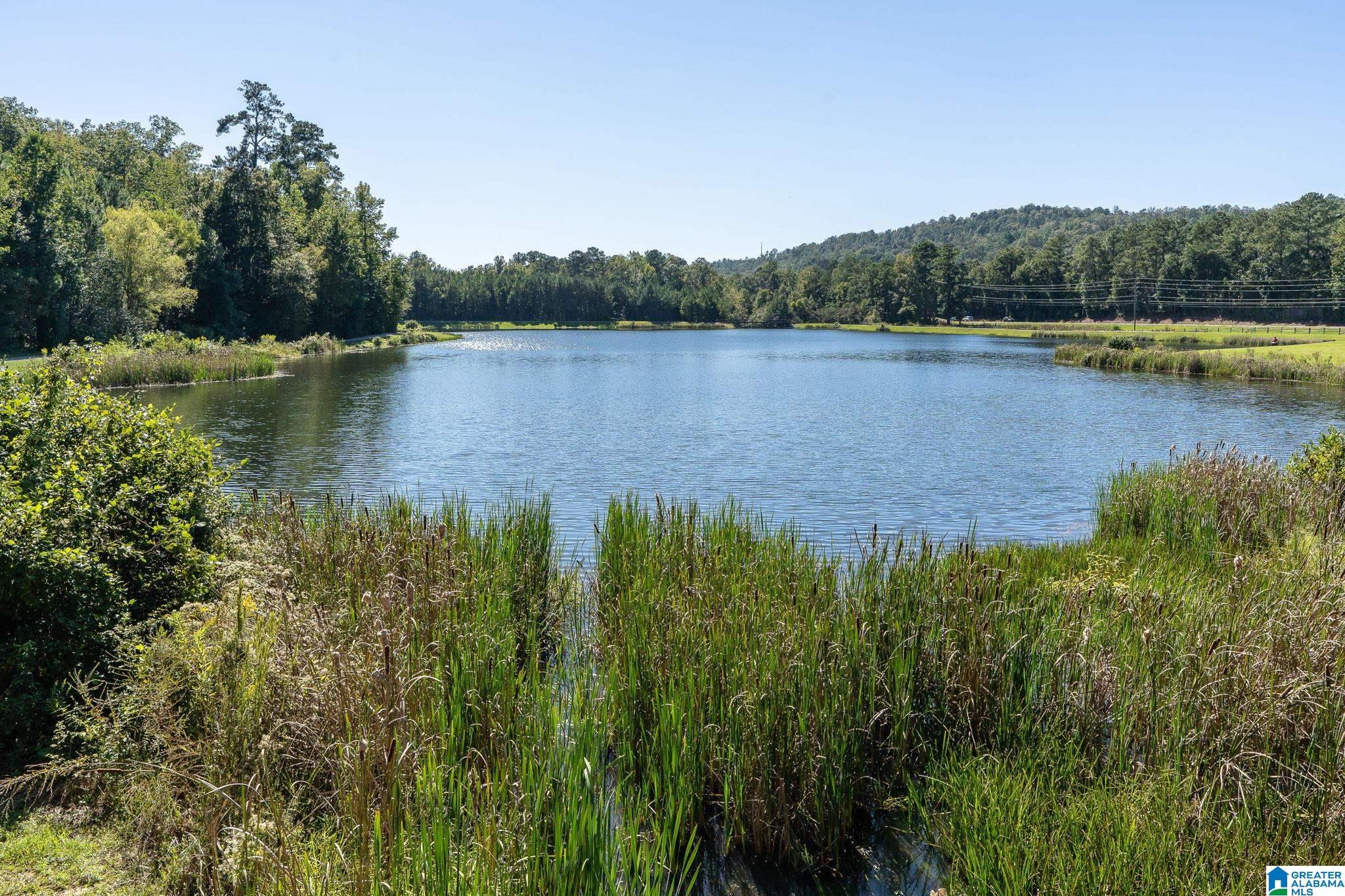 4079 Forest Lakes Road Sterrett, AL 35147 - Photo 26 of 35 Gallery Image 26