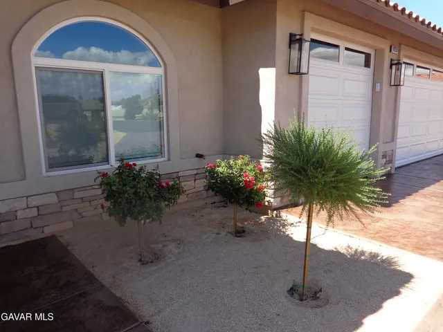 a potted plant sitting in front of a house
