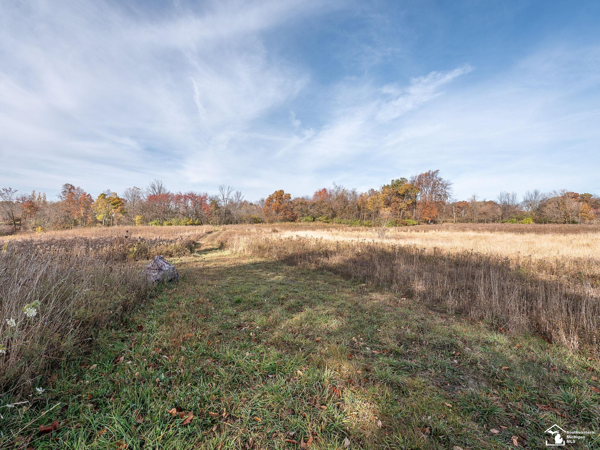12052 Rome Road Manitou Beach, MI 49253 - Photo 47 of 58