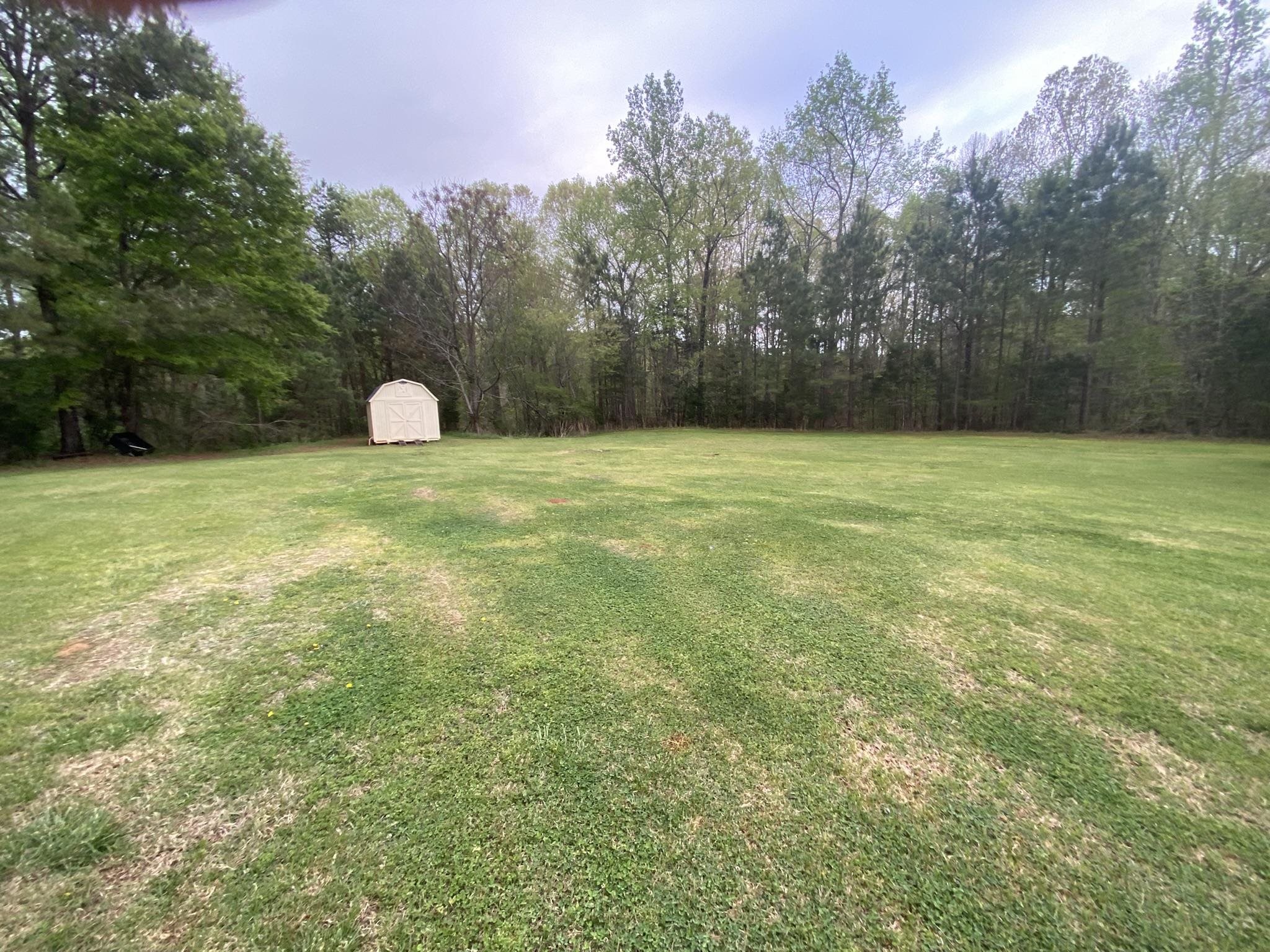 601 Evins Road Pauline, SC 29374 - Photo 8 of 29