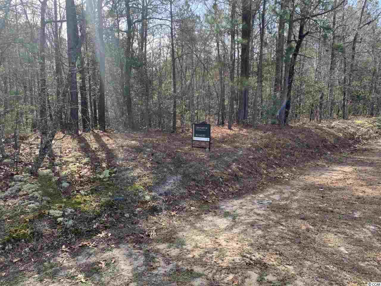 Tbd Marsden Road Aynor, SC 29511 - Photo 1 of 8 Gallery Image 1