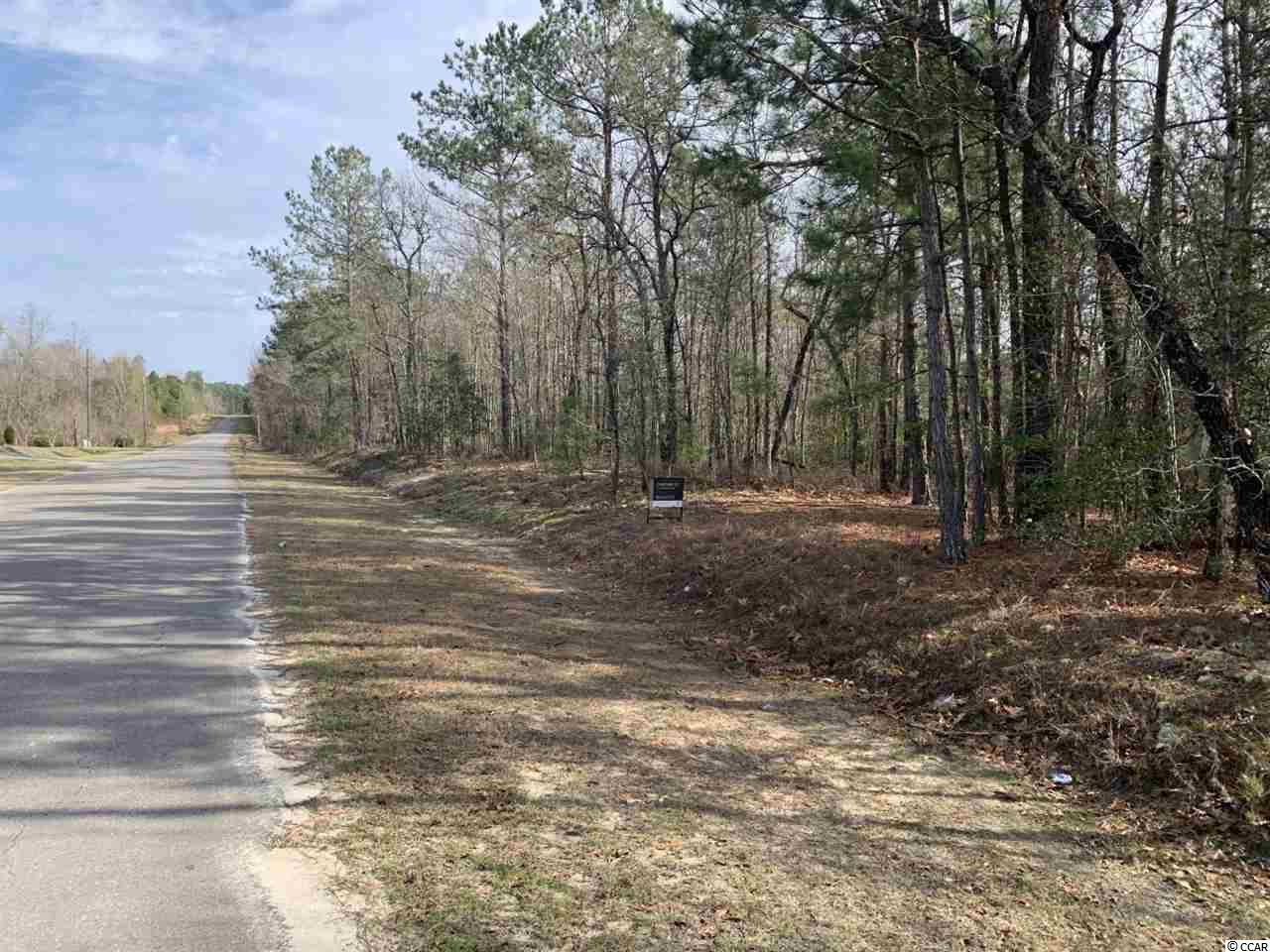 Tbd Marsden Road Aynor, SC 29511 - Photo 2 of 8 Gallery Image 2