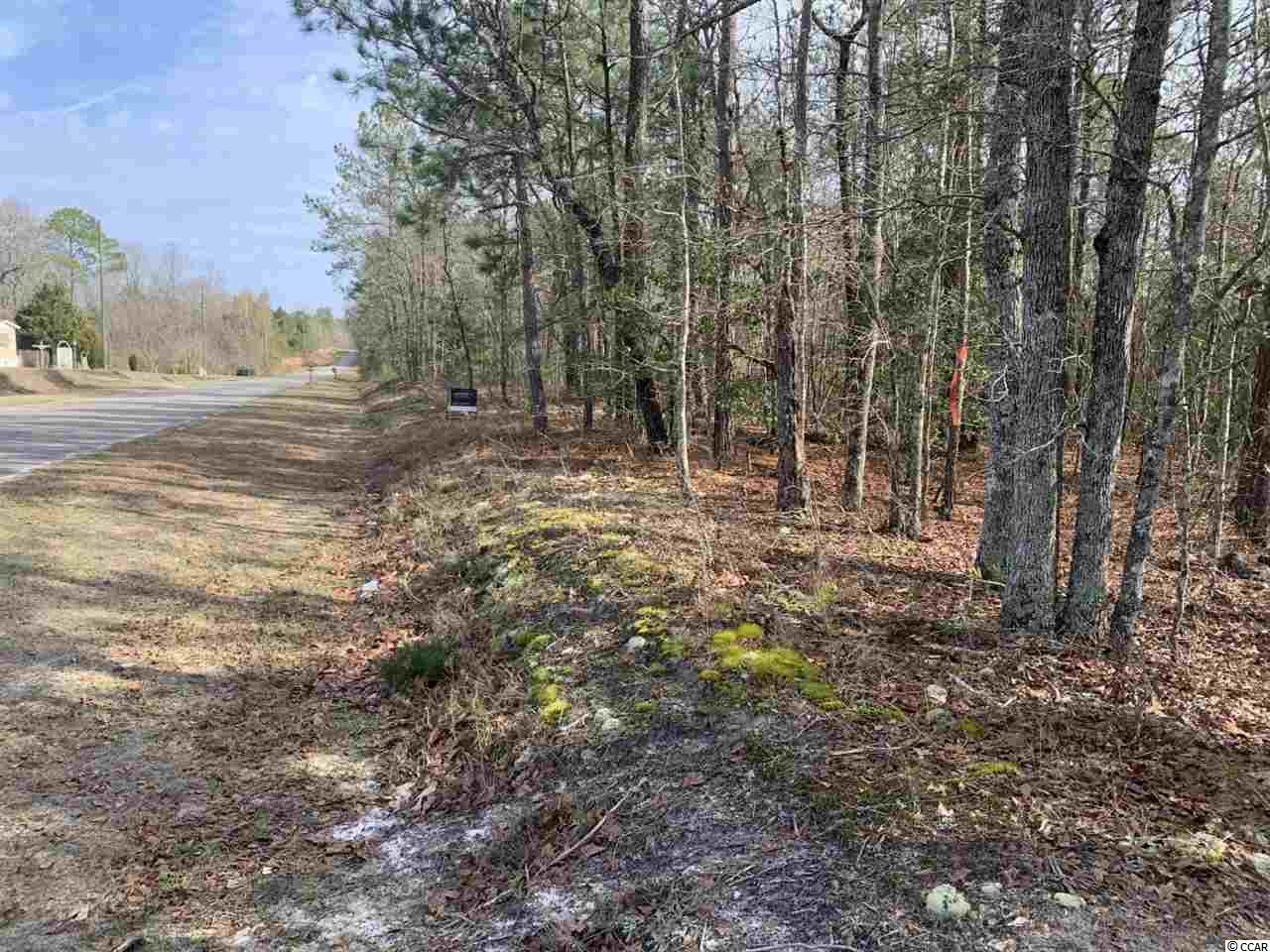 Tbd Marsden Road Aynor, SC 29511 - Photo 4 of 8 Gallery Image 4