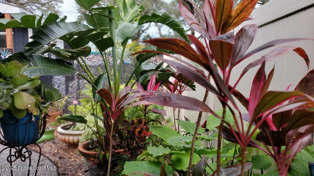 108 Washington Avenue Cape Canaveral, FL 32920 - Photo 25 of 50 garden