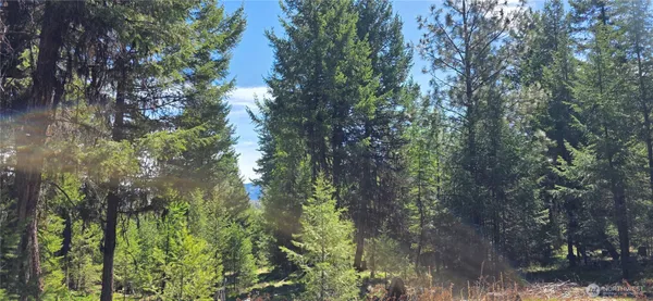 $65,000 | 111 Tbd Wannamaker Road, Oroville, WA 98844