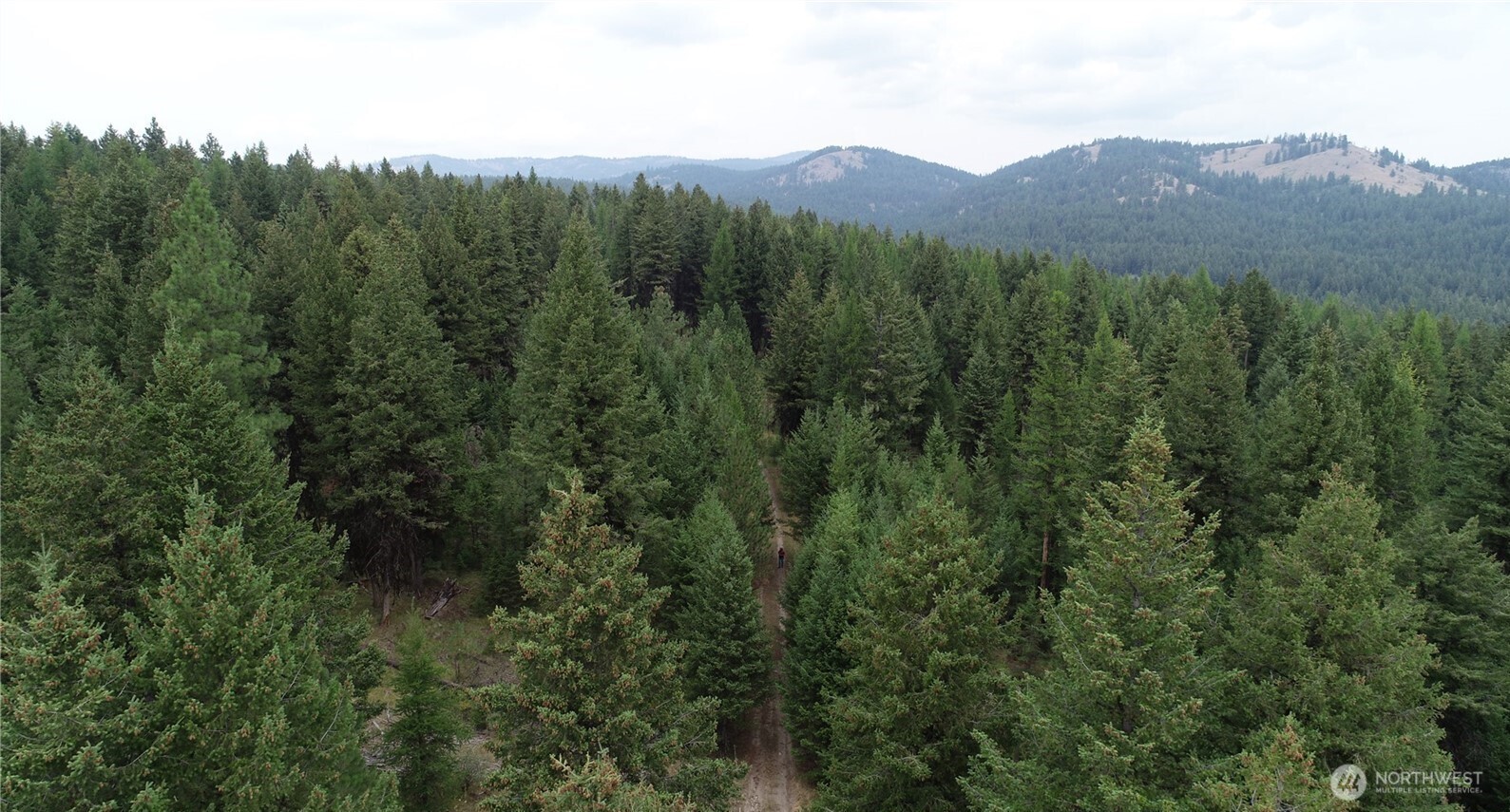 111 Tbd Wannamaker Road Oroville, WA 98844 - Photo 11 of 17
