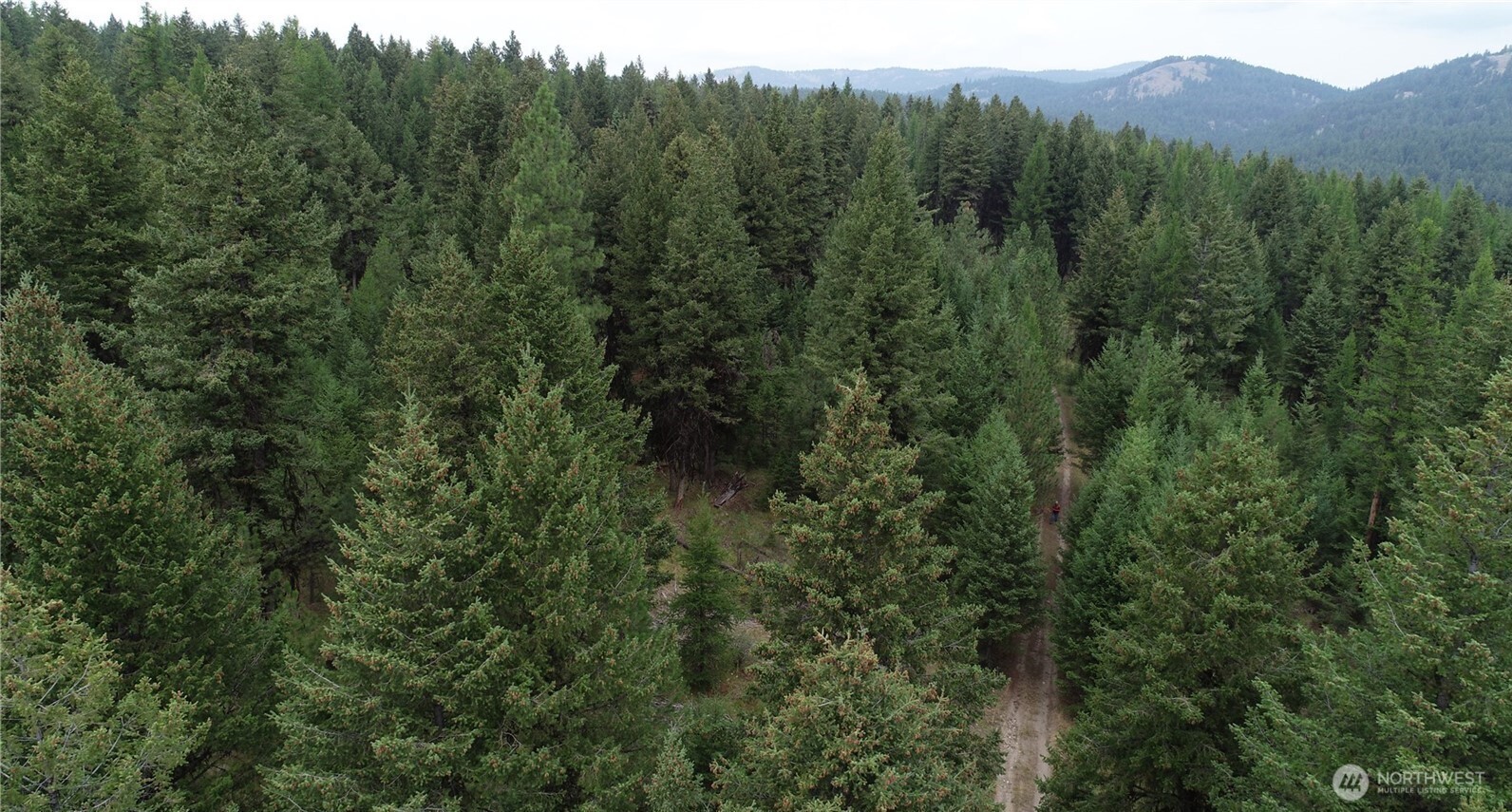 111 Tbd Wannamaker Road Oroville, WA 98844 - Photo 12 of 17