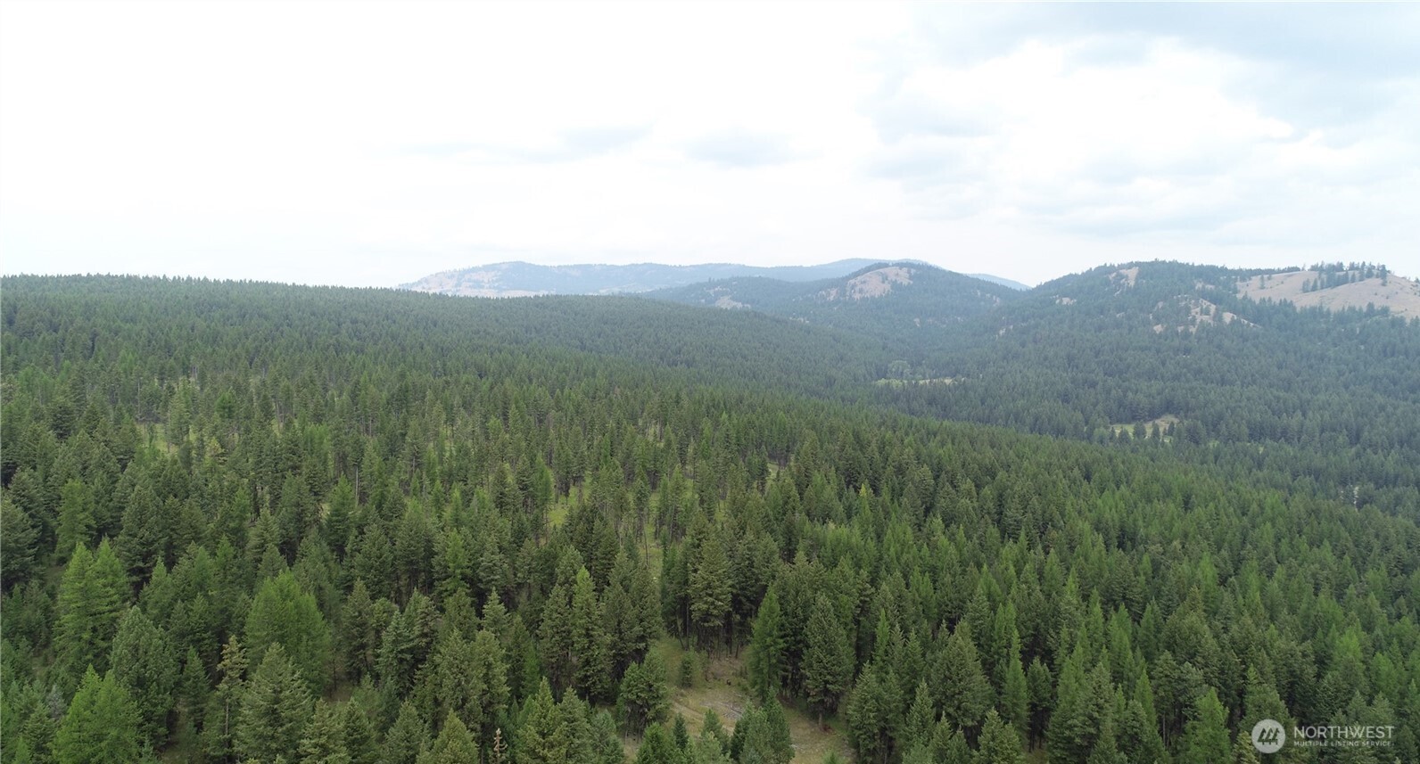 111 Tbd Wannamaker Road Oroville, WA 98844 - Photo 13 of 17