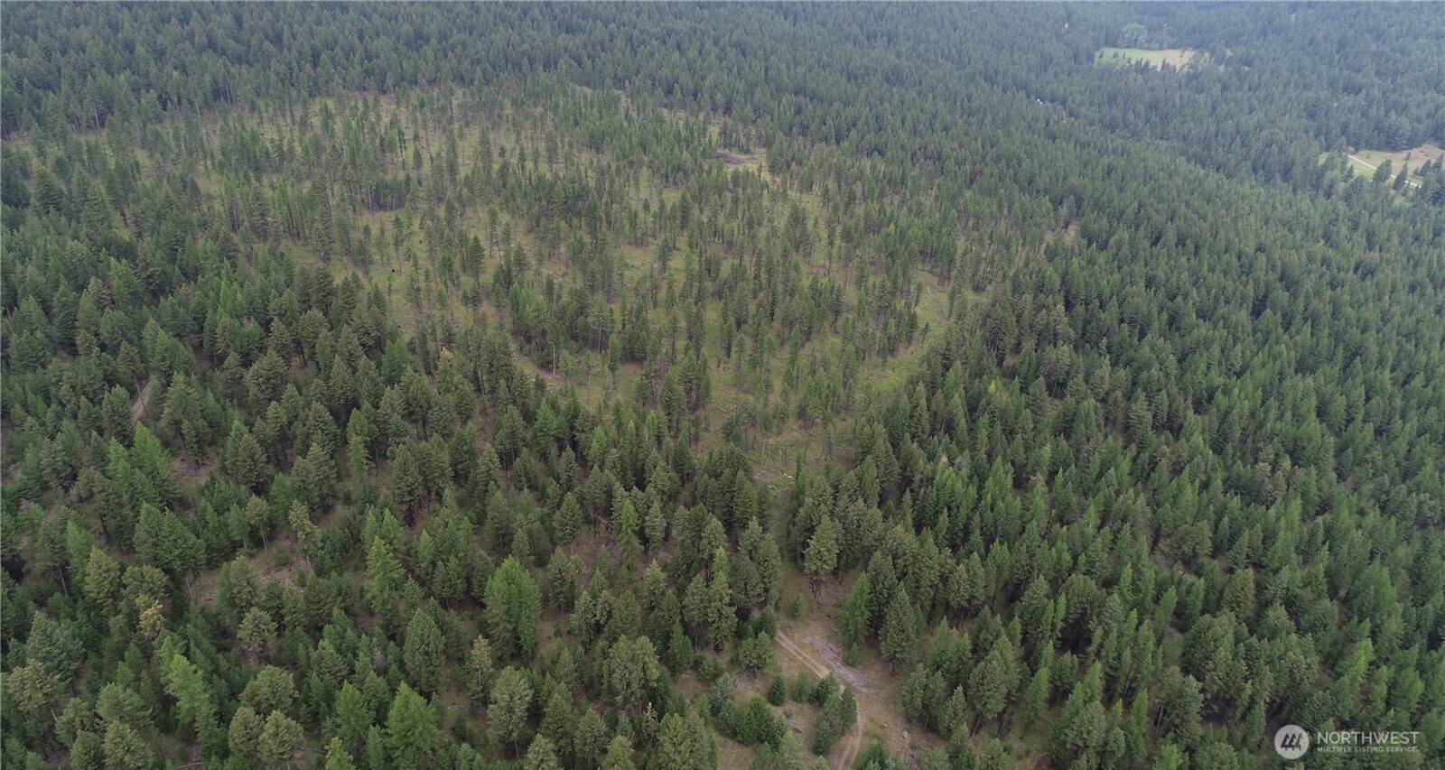 111 Tbd Wannamaker Road Oroville, WA 98844 - Photo 16 of 17