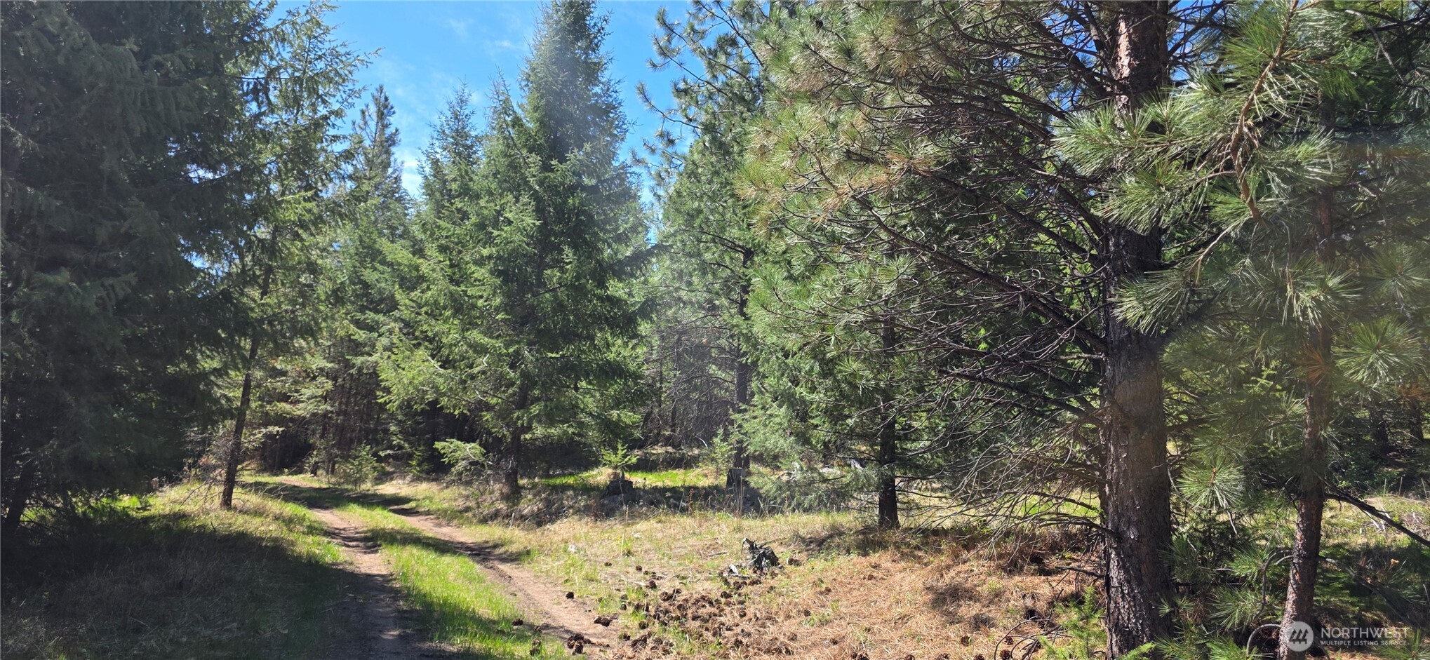 111 Tbd Wannamaker Road Oroville, WA 98844 - Photo 9 of 17