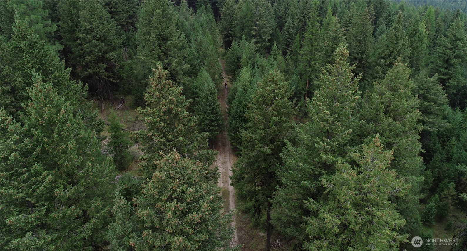 111 Tbd Wannamaker Road Oroville, WA 98844 - Photo 10 of 17