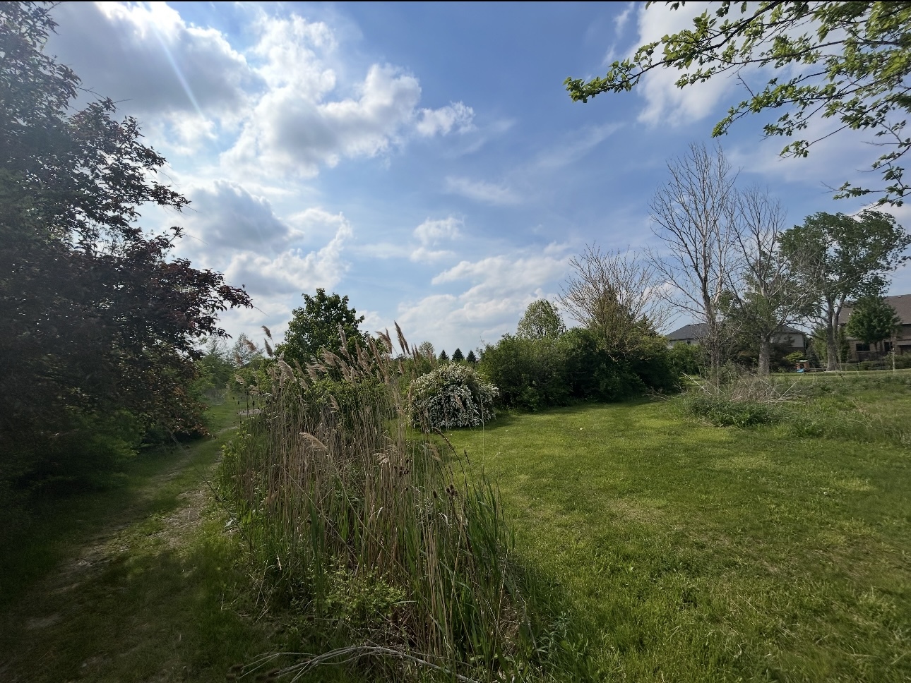 0 South Owens Road Mokena, IL 60448 - Photo 3 of 10 Gallery Image 3