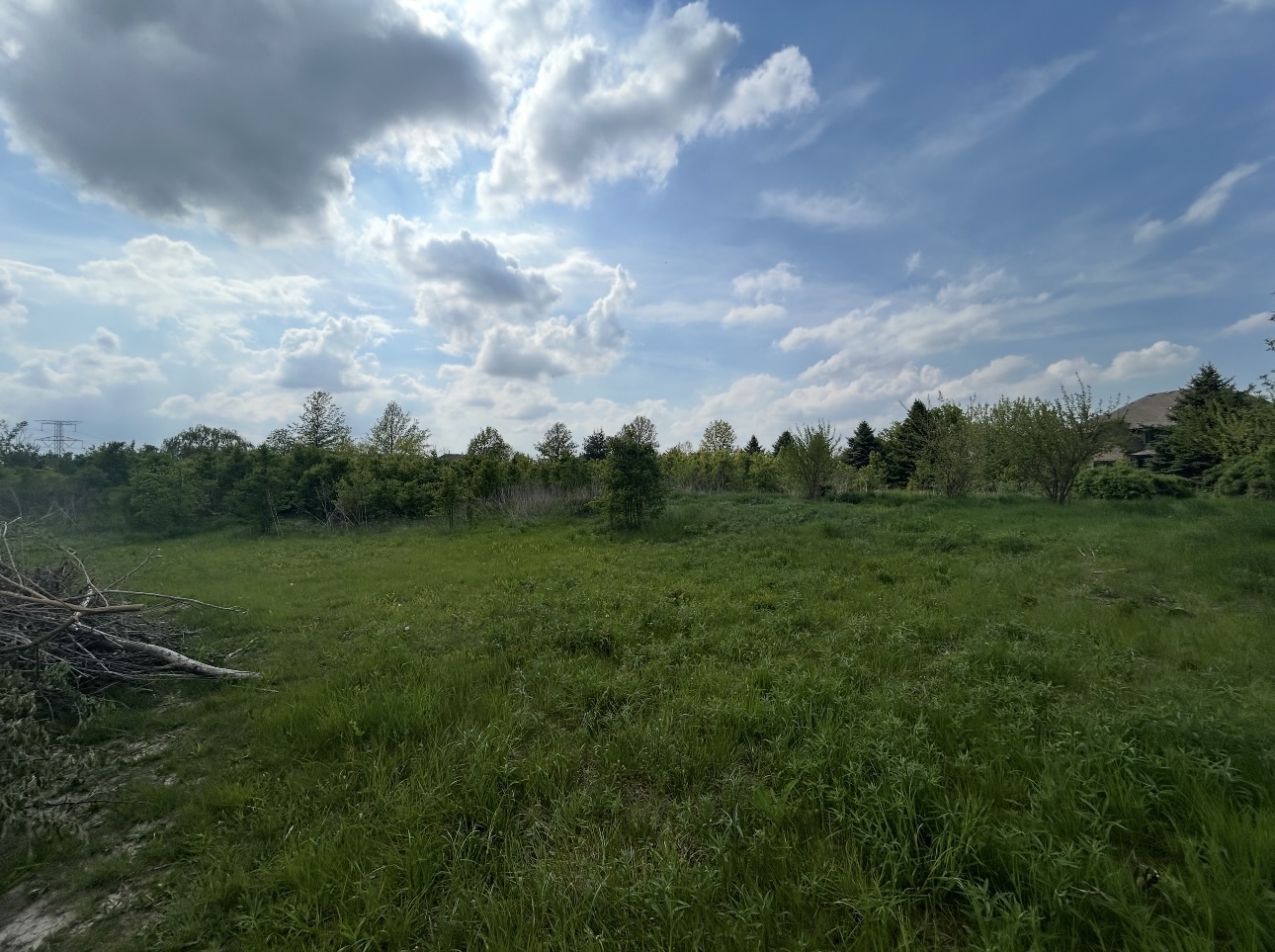 0 South Owens Road Mokena, IL 60448 - Photo 4 of 10 Gallery Image 4