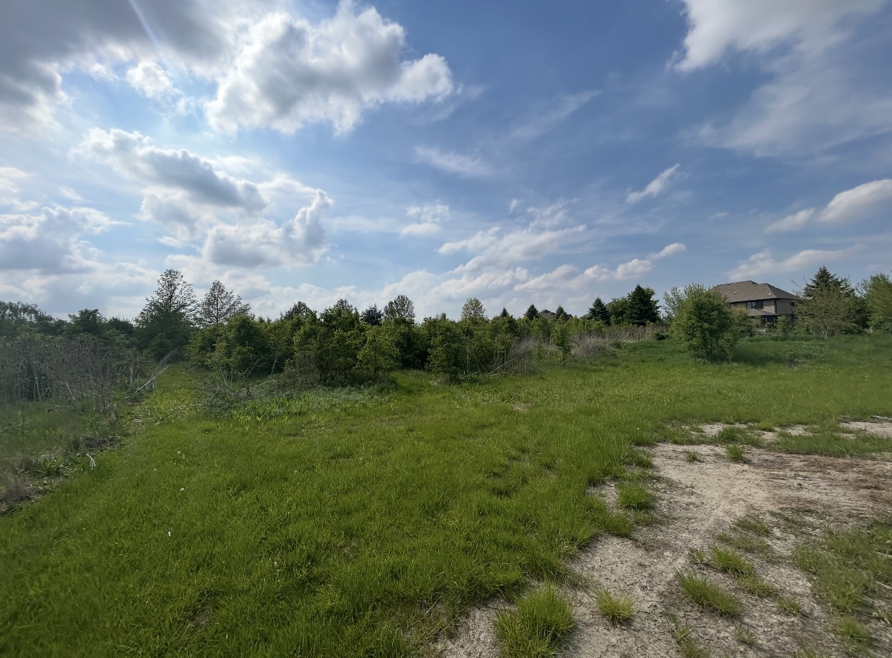 0 South Owens Road Mokena, IL 60448 - Photo 5 of 10 Gallery Image 5