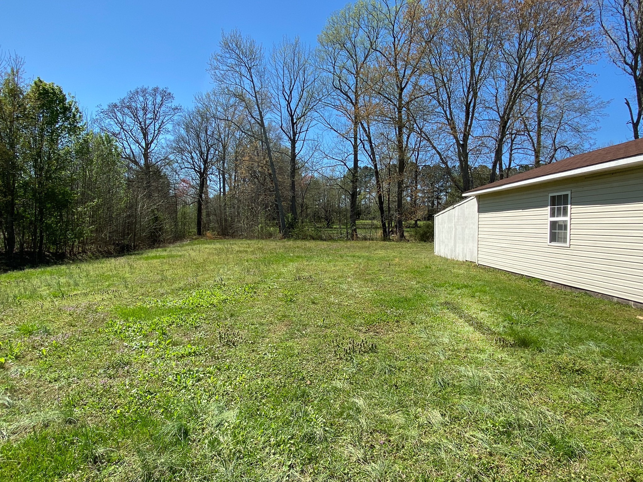 72 Pratt Road Manchester, TN 37355 - Photo 23 of 24 a backyard of a house with lots of green space