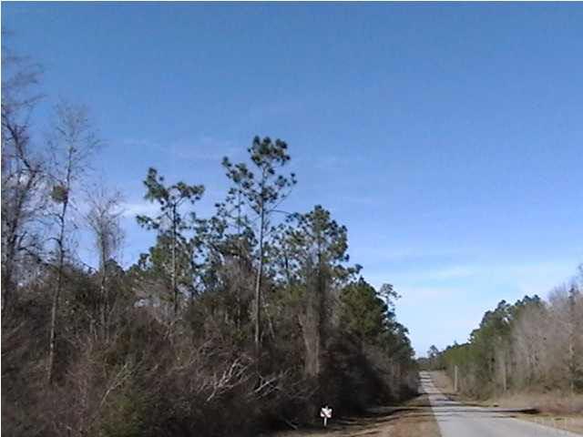 Parcel D Parcel D County Line Road Milton, FL 32570 - Photo 3 of 8 View from road facing property showing County Line Road which is a paved county road
