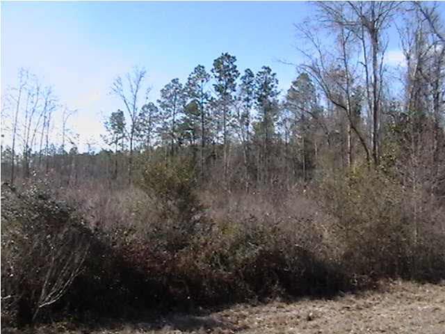 Parcel D Parcel D County Line Road Milton, FL 32570 - Photo 4 of 8 Gallery Image 4