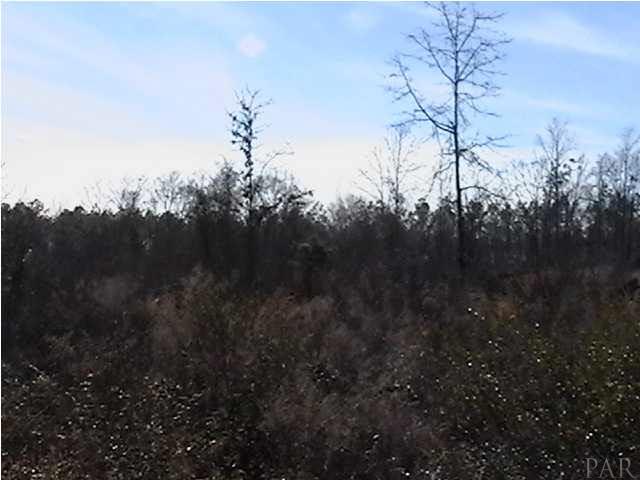 Parcel D Parcel D County Line Road Milton, FL 32570 - Photo 5 of 8 Gallery Image 5
