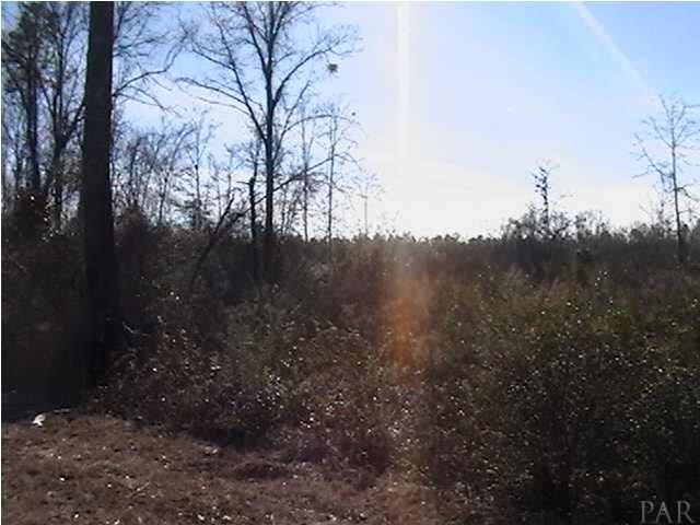 Parcel D Parcel D County Line Road Milton, FL 32570 - Photo 6 of 8 Gallery Image 6