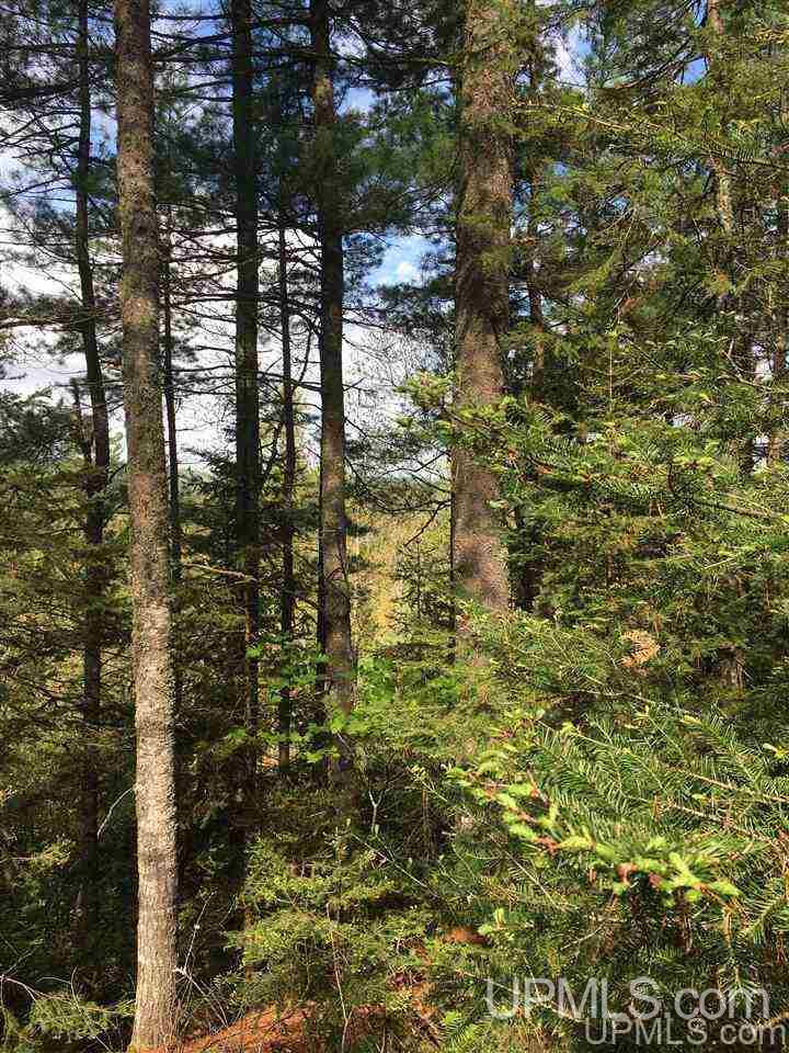 80-acres 80-acres Off Red Road Negaunee, MI 49866 - Photo 7 of 8