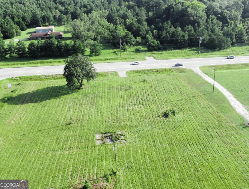 19477 Highway 80 Statesboro, GA 30461 - Photo 2 of 9 a view of a swimming pool with a yard