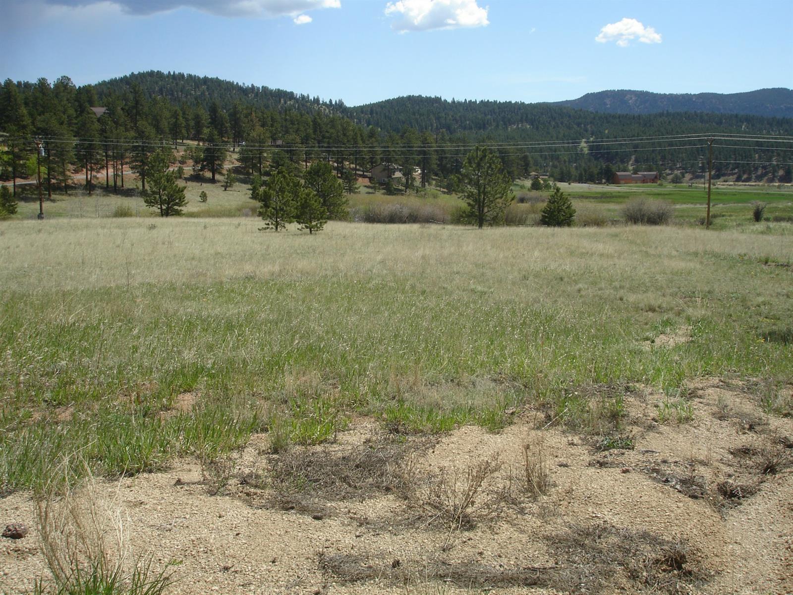 1951 Park Cty Rd 43 Bailey, CO 80421 - Photo 1 of 1 Gallery Image 1