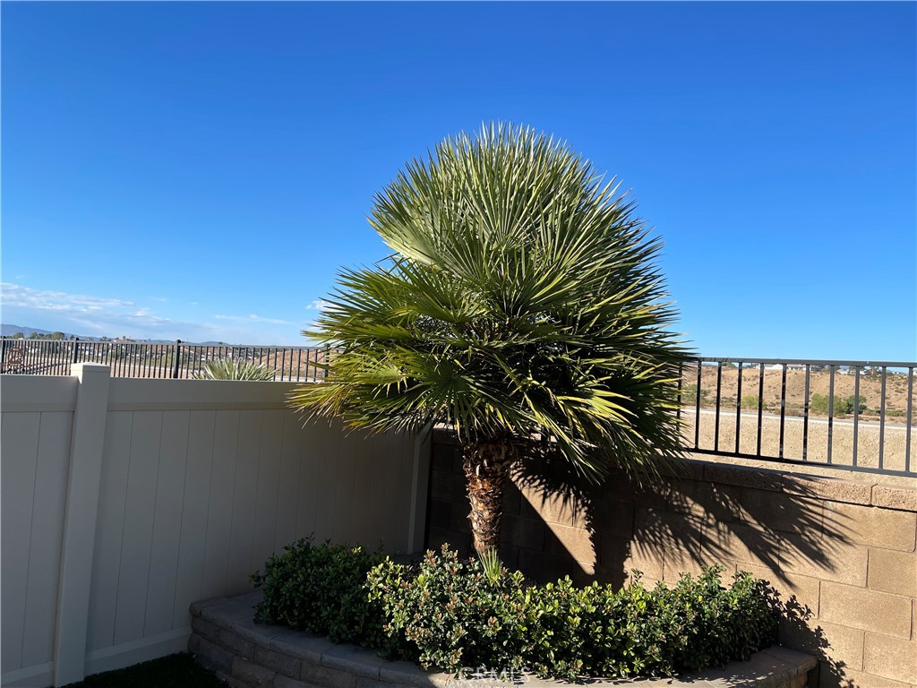 11636 Cascade Street Apple Valley, CA 92308 - Photo 50 of 70 a view of a house with a palm tree