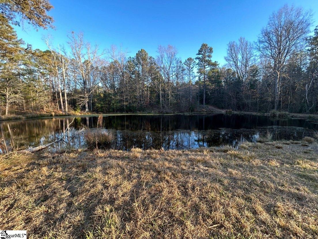 210 Graystone Road Jonesville, SC 29353 - Photo 13 of 29