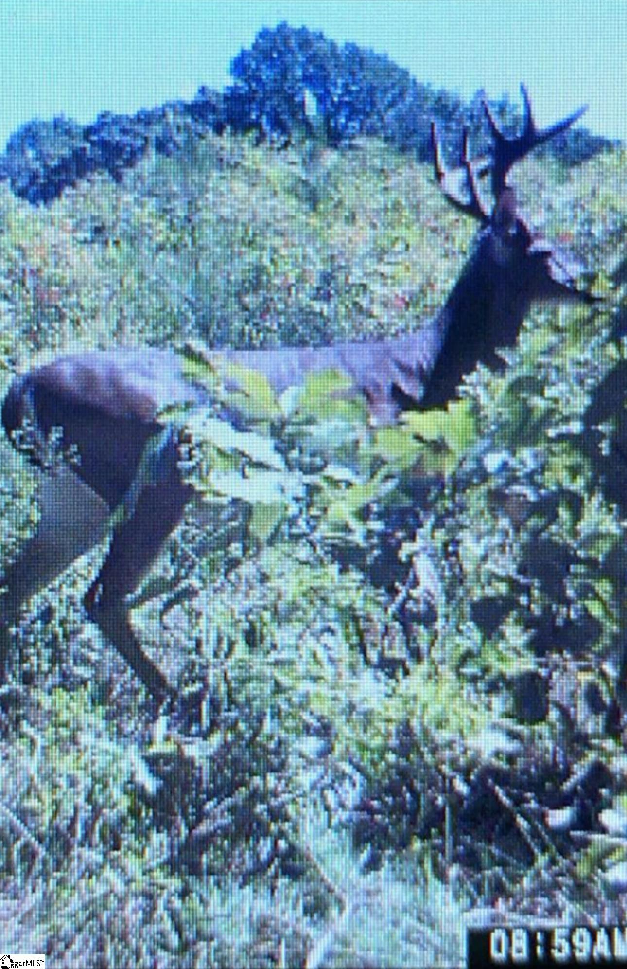 210 Graystone Road Jonesville, SC 29353 - Photo 23 of 29