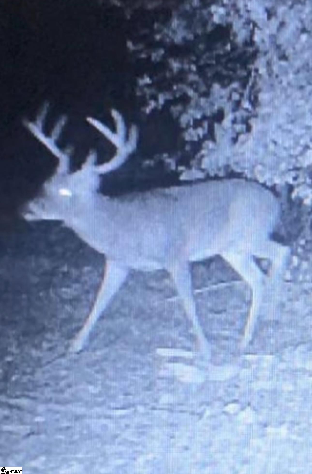 210 Graystone Road Jonesville, SC 29353 - Photo 6 of 29