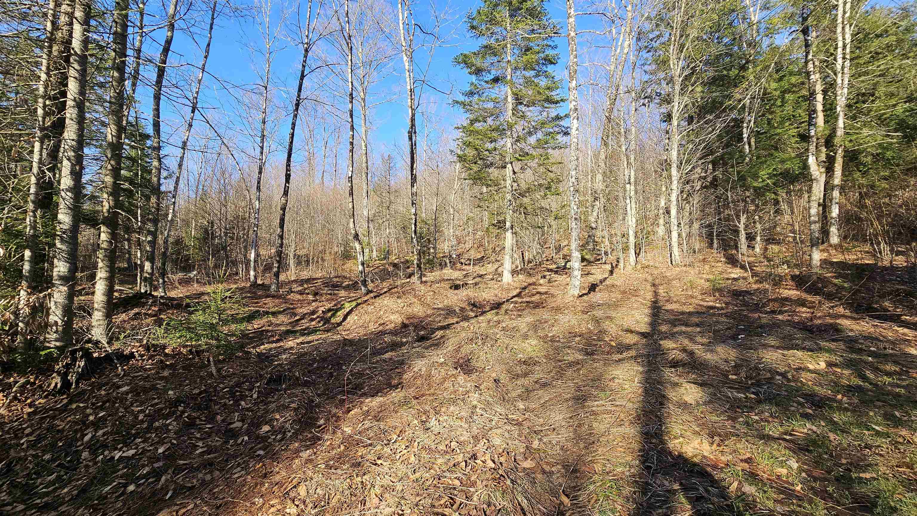 512 Woodbury Mountain Road Calais, VT 05648 - Photo 49 of 59