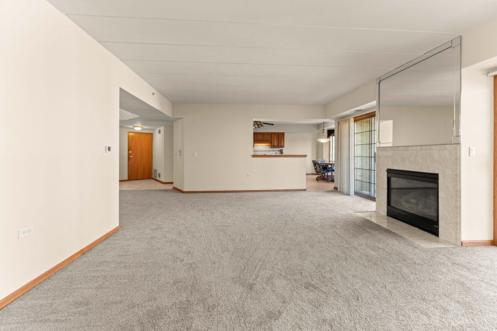 11901 Windemere Court, Unit 301 Orland Park, IL 60467 - Photo 6 of 27 a view of a livingroom with a fireplace and a window