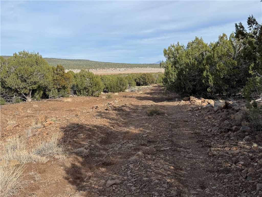 34745 West Running Shadow Road Seligman, AZ 86337 - Photo 26 of 52
