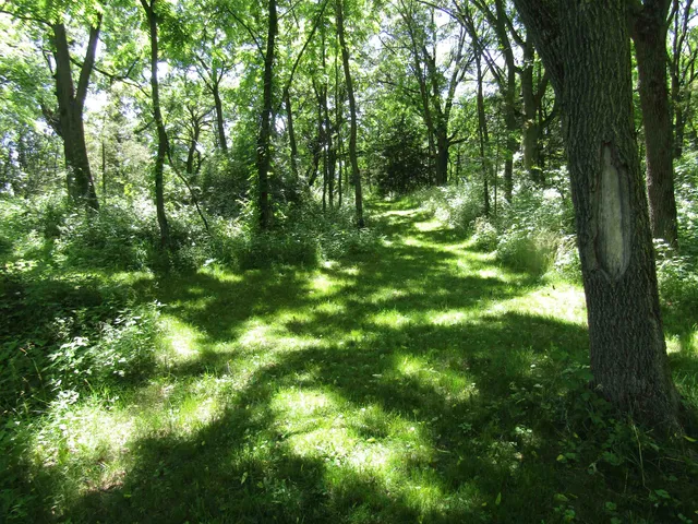 $149,000 | 4-acres - Glacier View, Milton, WI 53563