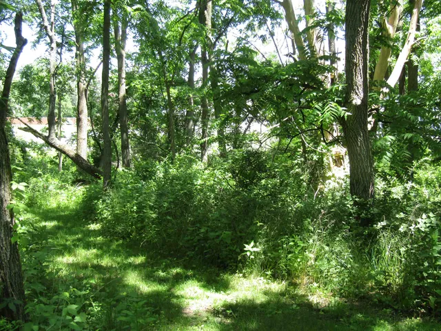 $149,000 | 4-acres - Glacier View, Milton, WI 53563