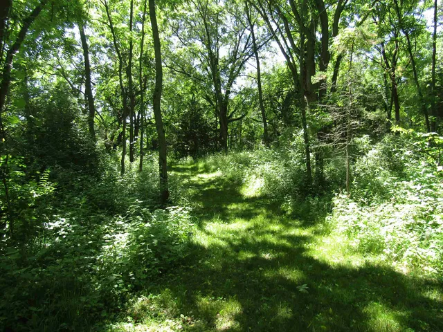 $149,000 | 4-acres - Glacier View, Milton, WI 53563