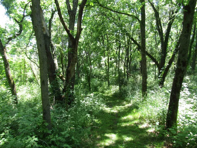$149,000 | 4-acres - Glacier View, Milton, WI 53563