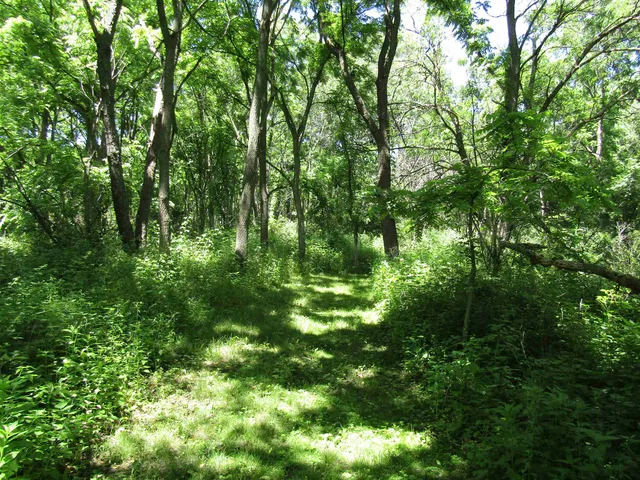 $149,000 | 4-acres - Glacier View, Milton, WI 53563