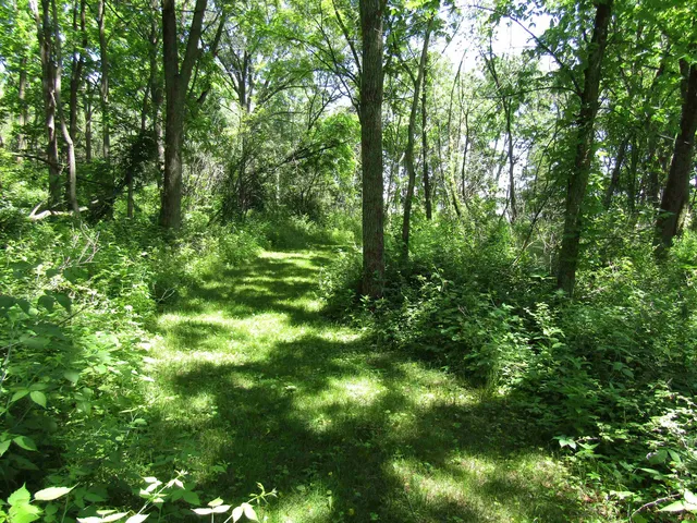 $149,000 | 4-acres - Glacier View, Milton, WI 53563