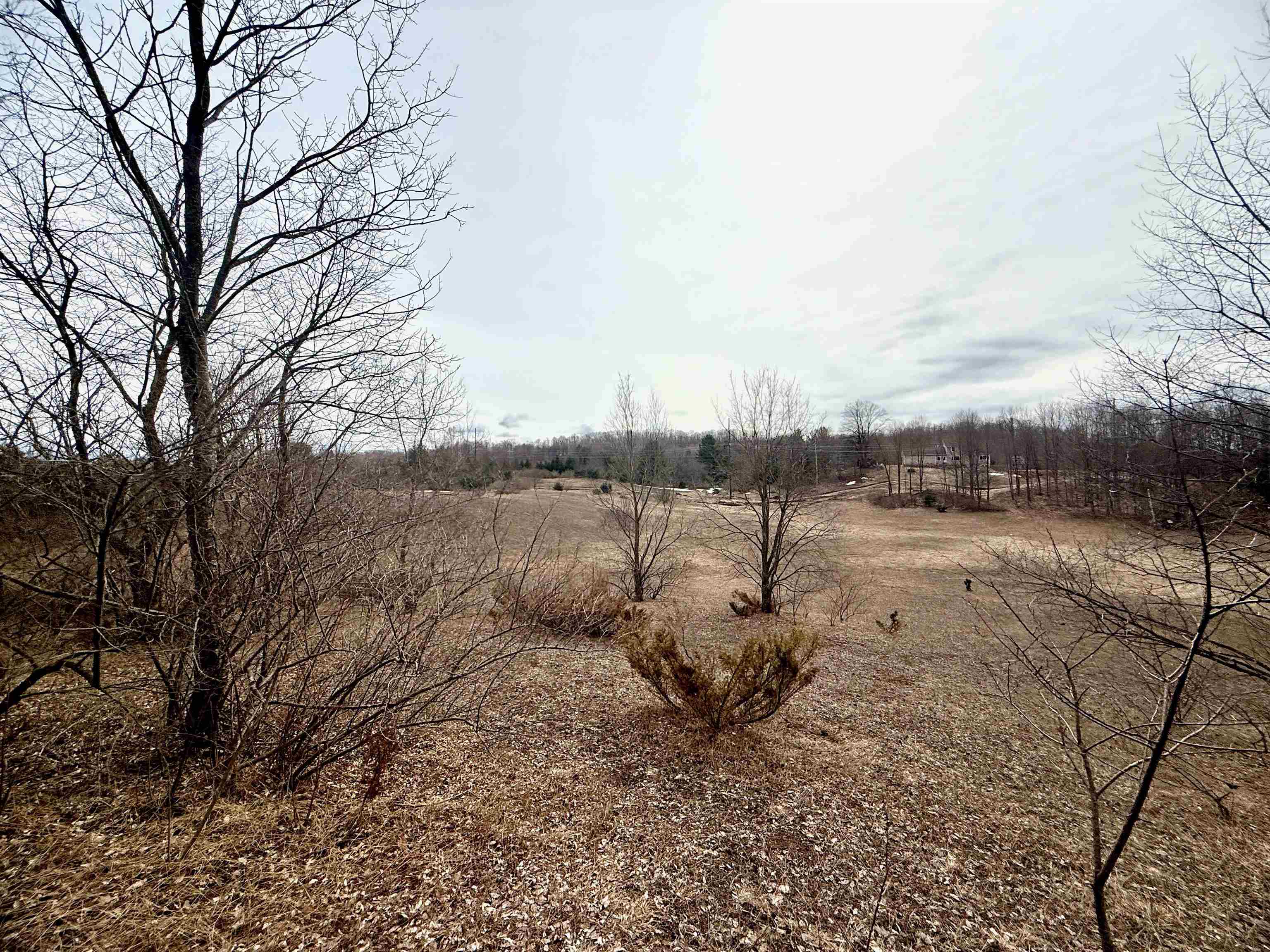 0 West Trumbull Road, Unit LOT B Maple City, MI 49664 - Photo 8 of 25