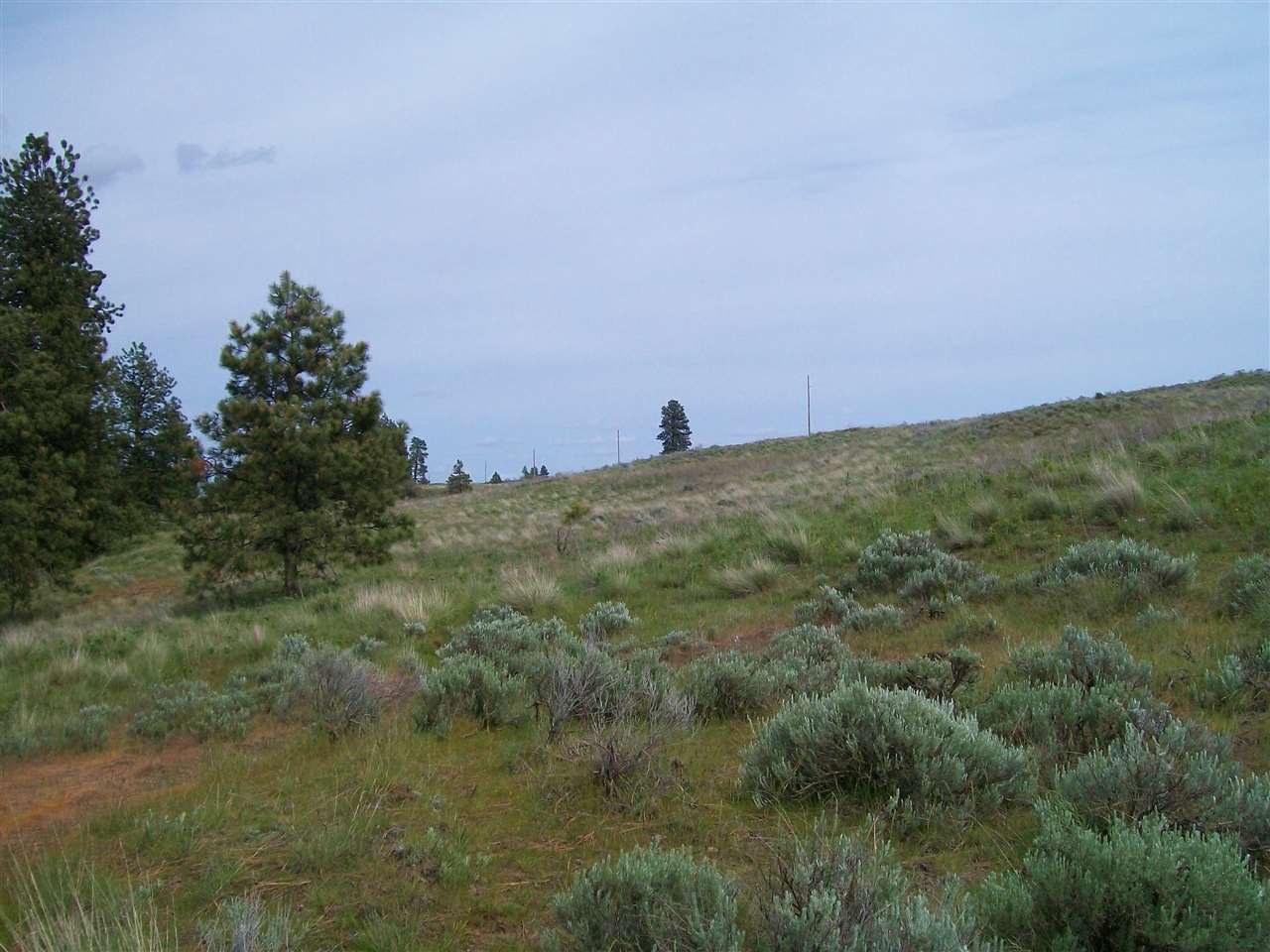 22829 West Pine Springs Road Cheney, WA 99004 - Photo 8 of 20