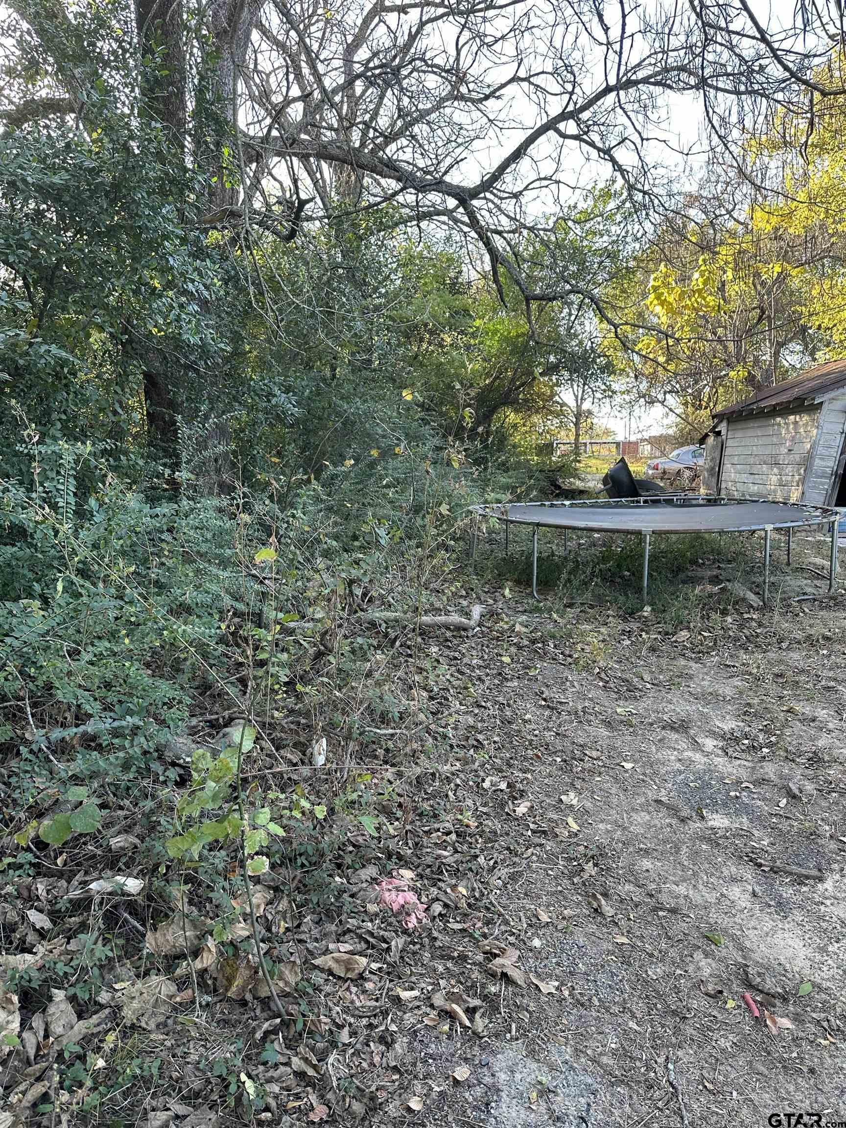 1914 North Spring Avenue Tyler, TX 75702 - Photo 1 of 1 a garden view