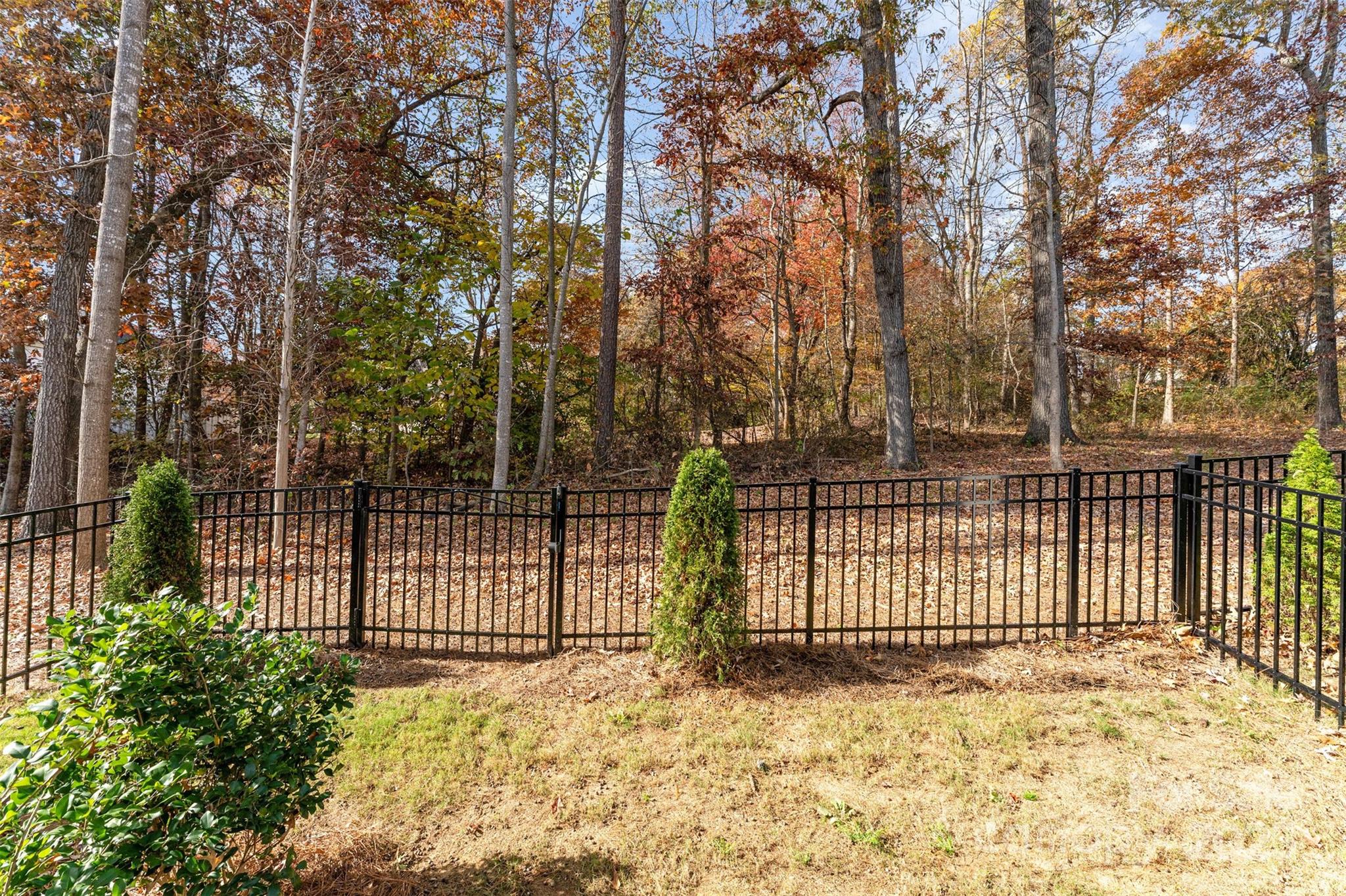 10504 Audubon Rdg Drive Cornelius, NC 28031 - Photo 32 of 34