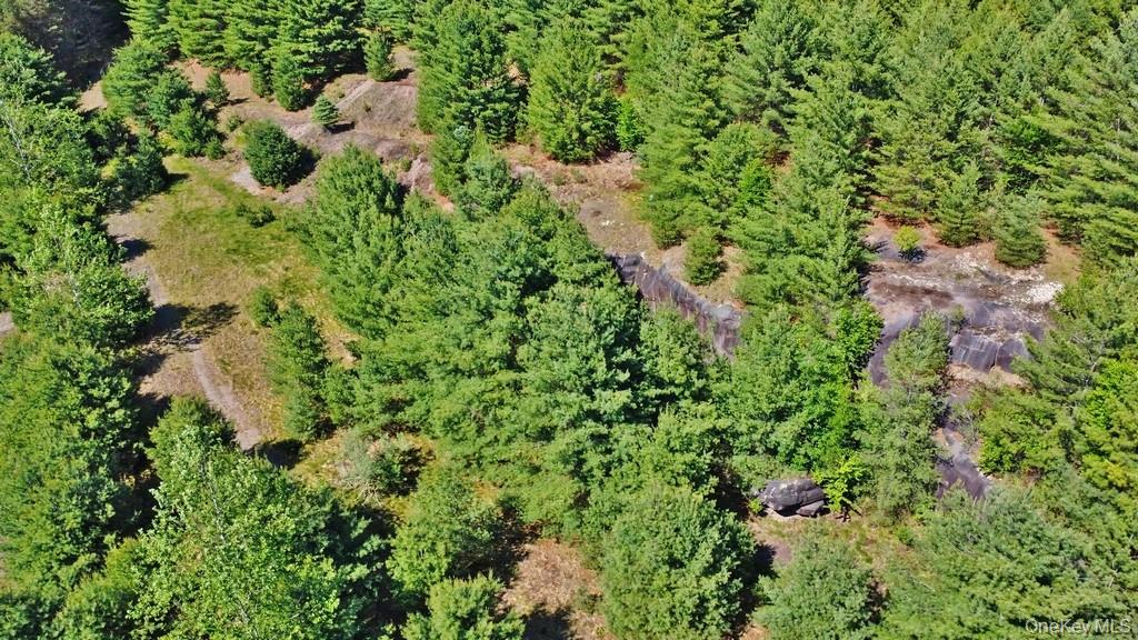 Marsh Road Fallsburg, NY 12733 - Photo 17 of 20