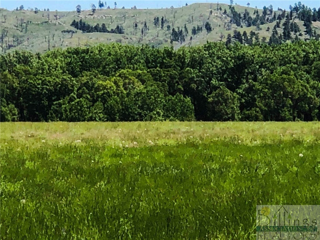 Lot 131 Balfour Loop Road Reed Point, MT 59069 - Photo 1 of 1 Gallery Image 1
